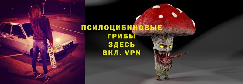 ссылка на мегу зеркало  Нестеровская  Галлюциногенные грибы Psilocybe  купить наркотики сайты 